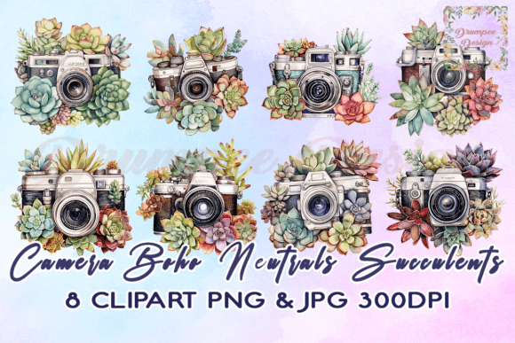 Download Camera Boho Neutrals Succulents Clipart - Camera Collection